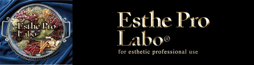 株式会社プロラボホールディングス