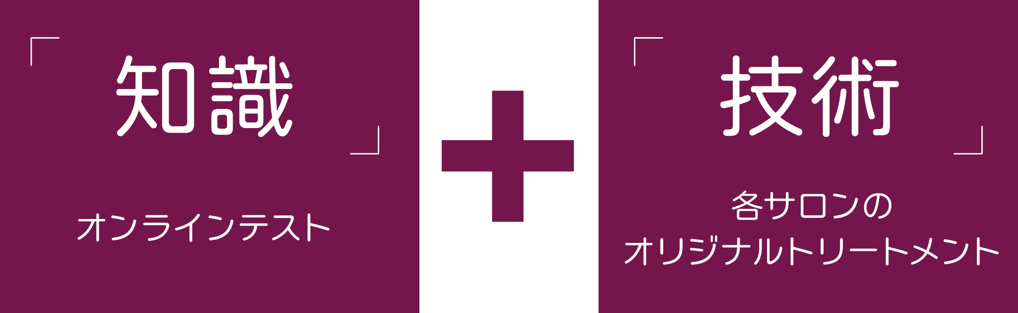 フェイシャル知識＋フェイシャル技術